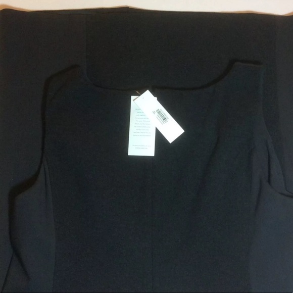 NWT Eileen Fisher Color Block Sheath Dress Sz 16 - Picture 6 of 12